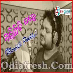 Marijibi Pachhe Premare Dhoka Debini (Humane Sagar)Odia Album Song